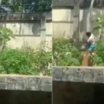 Conmoción en Brasil: Joven pierde la vida al entrar al hábitat de una leona